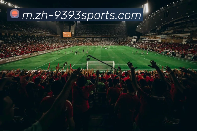 球赛投注服务体系